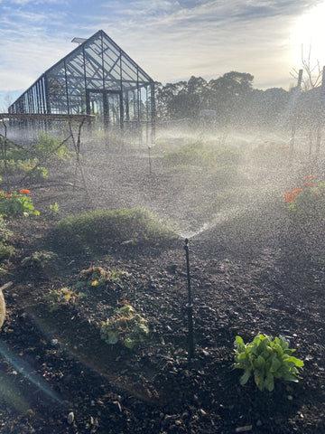 Glasshouse and sprinklers in NZ